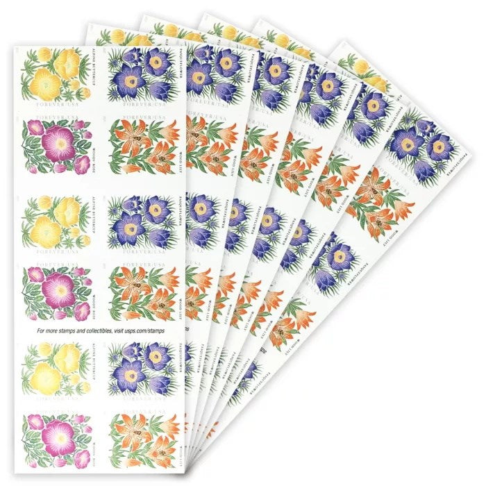 2022 π₯5 Booklets/100 Pcs