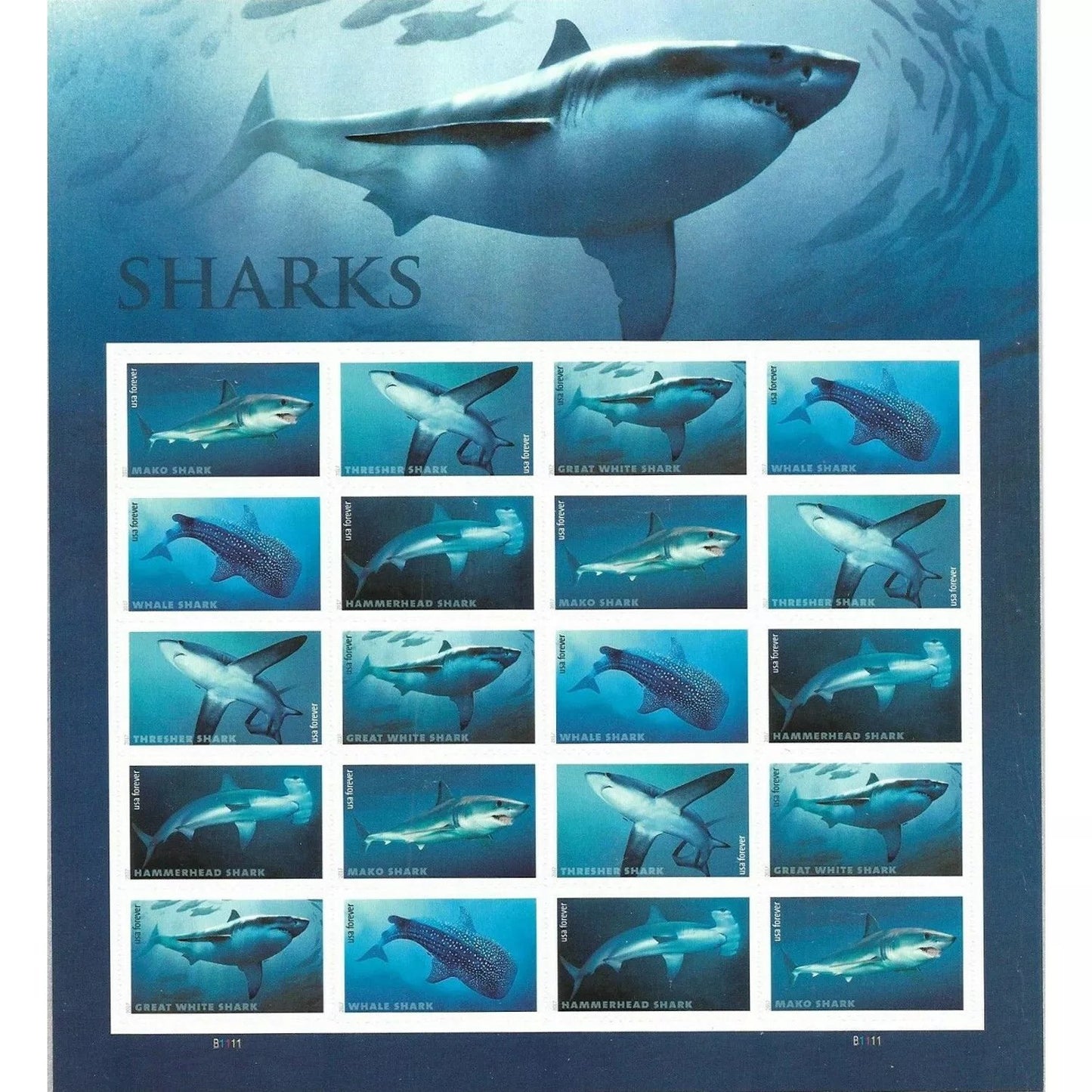 2017 π₯5 Booklets/100 Pcs